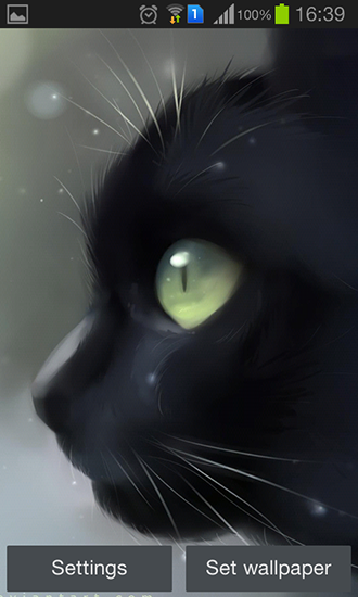 Screenshots of the live wallpaper Lonely black kitty for Android phone or tablet.