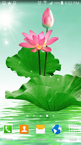 Full version of Android apk livewallpaper Lotus by villeHugh for tablet and phone.