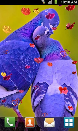 Screenshots of the live wallpaper Love: Birds for Android phone or tablet.