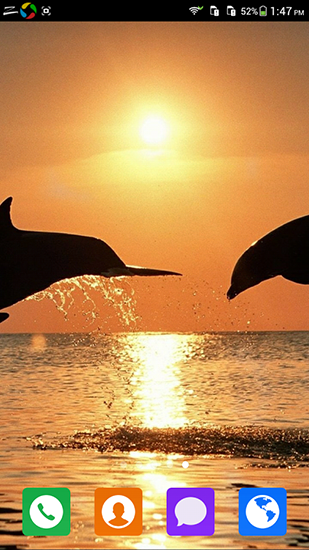 Screenshots of the live wallpaper Lovely dolphin for Android phone or tablet.