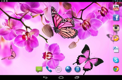 Screenshots of the live wallpaper Magic butterflies for Android phone or tablet.