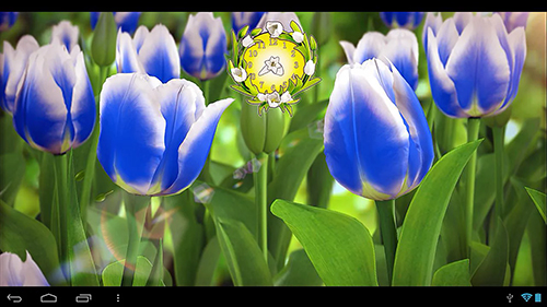 Full version of Android apk livewallpaper My flower 3D for tablet and phone.