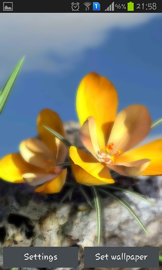 Screenshots of the live wallpaper Nature live: Spring flowers 3D for Android phone or tablet.