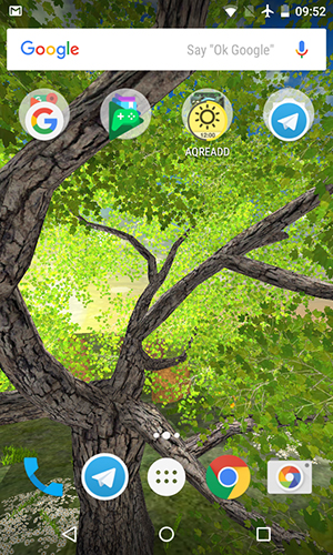 Screenshots of the live wallpaper Nature tree for Android phone or tablet.