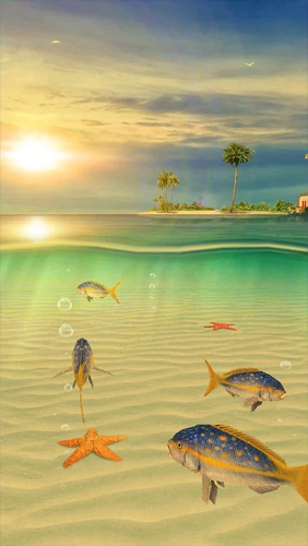 Full version of Android apk livewallpaper Ocean Aquarium 3D: Turtle Isles for tablet and phone.