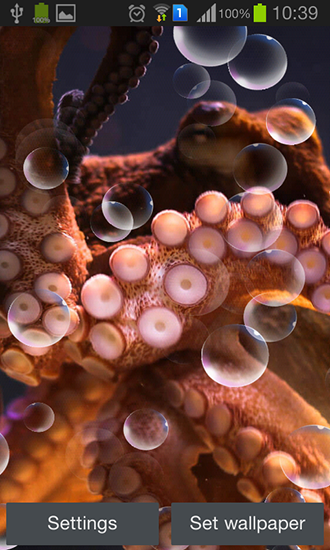 Screenshots of the live wallpaper Octopus for Android phone or tablet.