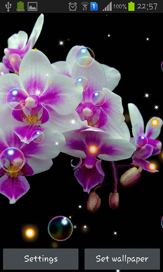 Screenshots of the live wallpaper Orchid HD for Android phone or tablet.