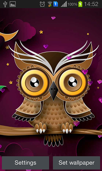 Screenshots of the live wallpaper Owl for Android phone or tablet.