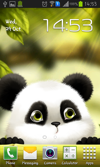 Screenshots of the live wallpaper Panda for Android phone or tablet.