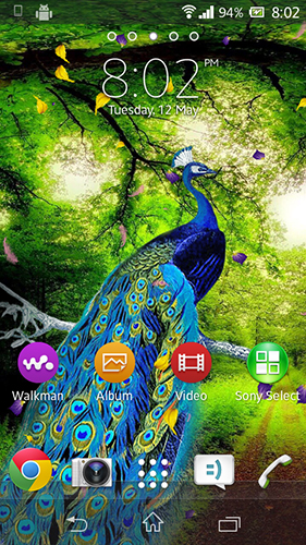 Full version of Android apk livewallpaper Peacock by AdSoftech for tablet and phone.