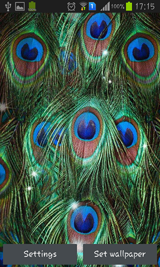 Screenshots of the live wallpaper Peacock feather for Android phone or tablet.