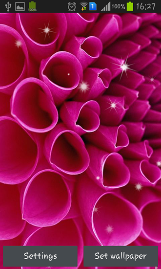 Screenshots of the live wallpaper Petals for Android phone or tablet.