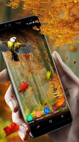 Full version of Android apk livewallpaper Picturesque nature for tablet and phone.
