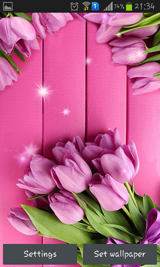 Screenshots of the live wallpaper Pink tulips for Android phone or tablet.