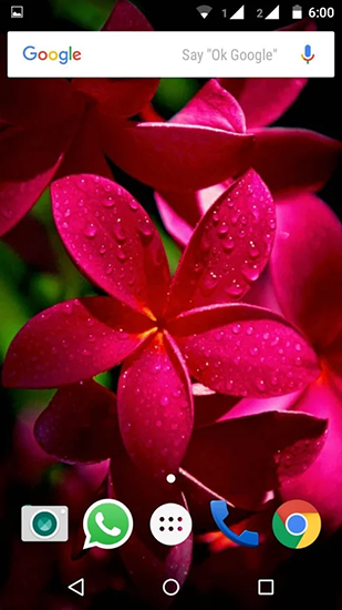Screenshots of the live wallpaper Plumeria for Android phone or tablet.