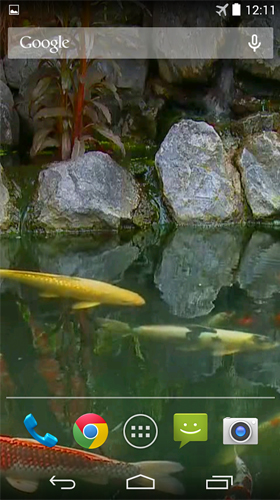 Full version of Android apk livewallpaper Pond with koi by Karaso for tablet and phone.