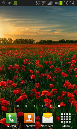 Screenshots of the live wallpaper Poppies for Android phone or tablet.
