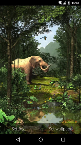 Full version of Android apk livewallpaper Rainforest 3D for tablet and phone.