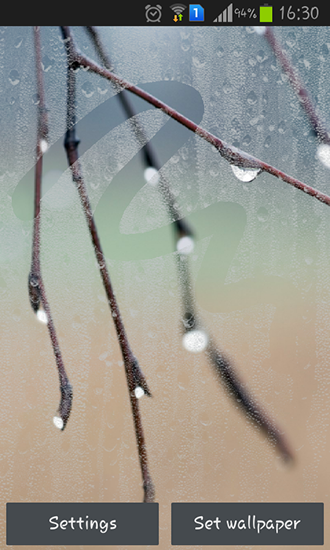 Screenshots of the live wallpaper Rainy autumn for Android phone or tablet.