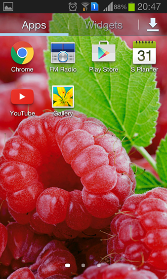 Screenshots of the live wallpaper Raspberries for Android phone or tablet.