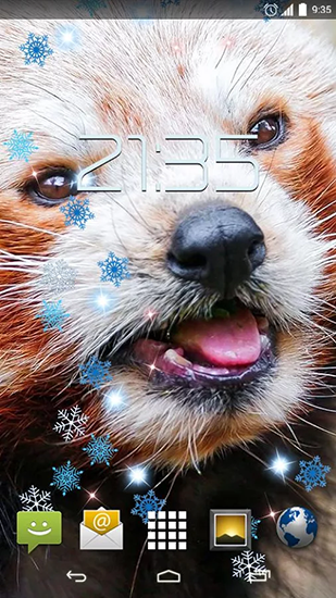 Screenshots of the live wallpaper Red panda for Android phone or tablet.