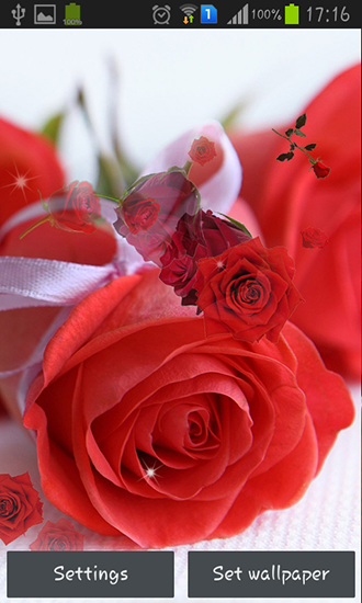 Screenshots of the live wallpaper Red rose for Android phone or tablet.