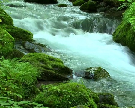 Screenshots of the live wallpaper River flow for Android phone or tablet.