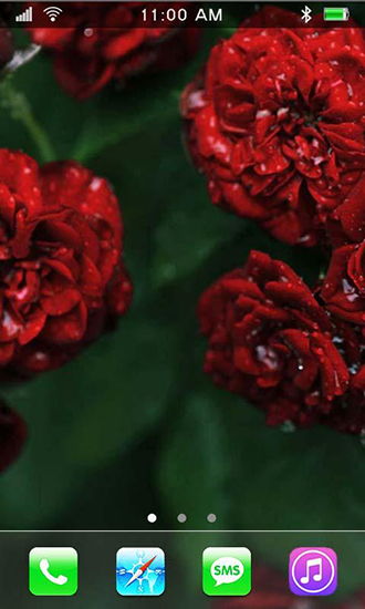 Screenshots of the live wallpaper Roses: Paradise garden for Android phone or tablet.