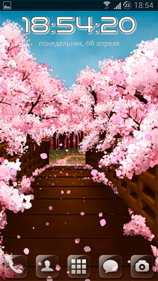 Screenshots of the live wallpaper Sakura's bridge for Android phone or tablet.