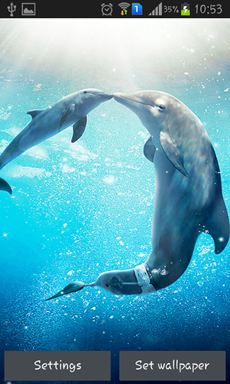 Screenshots of the live wallpaper Sea dolphin for Android phone or tablet.