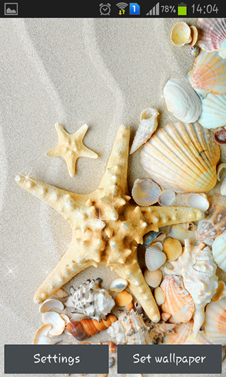Screenshots of the live wallpaper Seashells for Android phone or tablet.