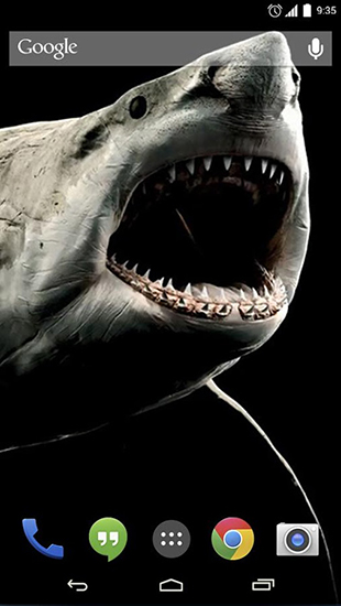 Screenshots of the live wallpaper Shark 3D for Android phone or tablet.