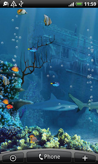 Screenshots of the live wallpaper Shark reef for Android phone or tablet.