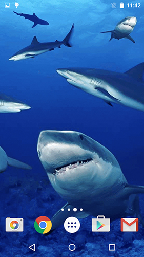 Full version of Android apk livewallpaper Sharks by Fun Live Wallpapers for tablet and phone.