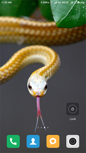 Full version of Android apk livewallpaper Snake HD for tablet and phone.