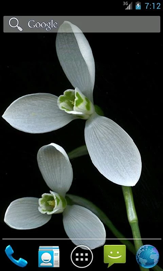 Screenshots of the live wallpaper Snowdrops by Wpstar for Android phone or tablet.