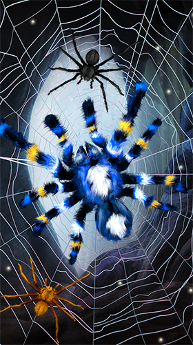 Full version of Android apk livewallpaper Spider by Cosmic Mobile Wallpapers for tablet and phone.