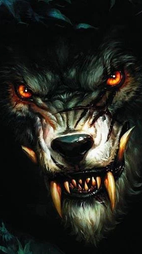 Full version of Android apk livewallpaper Spiky bloody king wolf for tablet and phone.