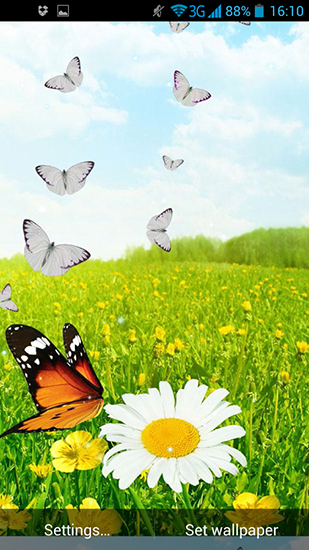 Screenshots of the live wallpaper Spring butterflies for Android phone or tablet.