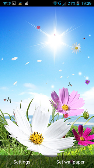 Screenshots of the live wallpaper Spring by Pro live wallpapers for Android phone or tablet.