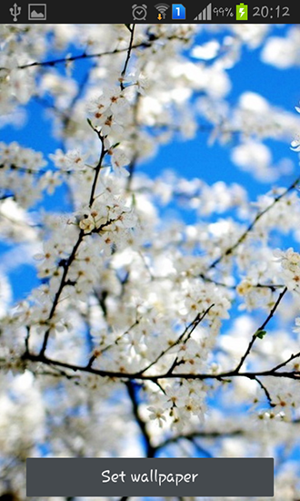 Screenshots of the live wallpaper Spring is coming for Android phone or tablet.