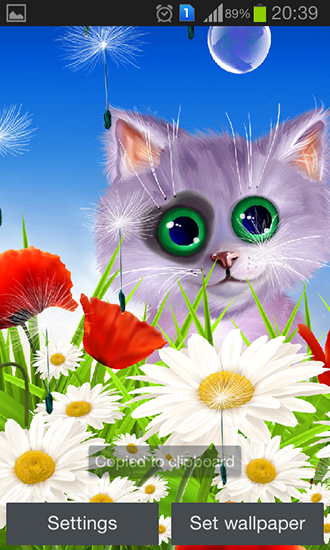 Screenshots of the live wallpaper Spring: Kitten for Android phone or tablet.