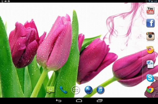Screenshots of the live wallpaper Spring rain for Android phone or tablet.