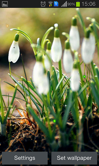 Screenshots of the live wallpaper Spring snowdrop for Android phone or tablet.