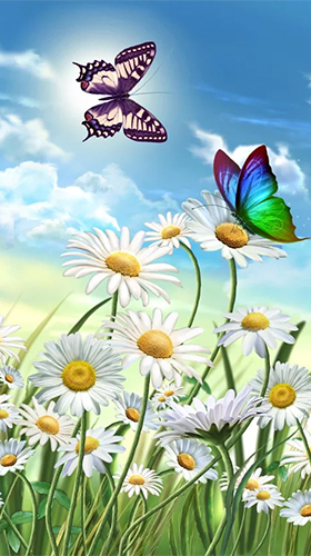 Full version of Android apk livewallpaper Summer: flowers and butterflies for tablet and phone.