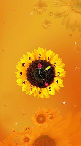 Full version of Android apk livewallpaper Sunflower clock for tablet and phone.