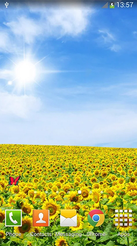 Full version of Android apk livewallpaper Sunflowers for tablet and phone.