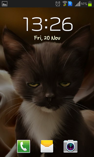 Screenshots of the live wallpaper Surprised kitty for Android phone or tablet.