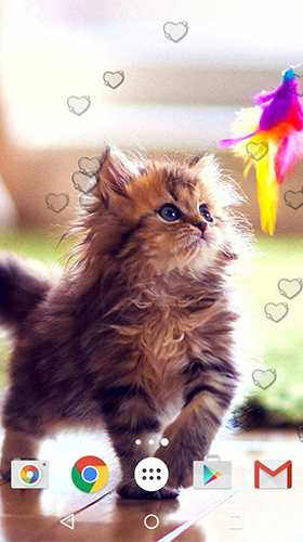 Full version of Android apk livewallpaper Сute kittens for tablet and phone.