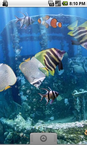 Screenshots of the live wallpaper The real aquarium for Android phone or tablet.